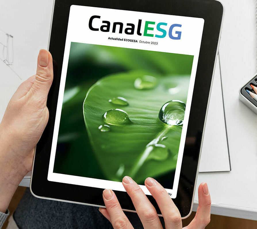 Día Internacional contra el Cambio Climático